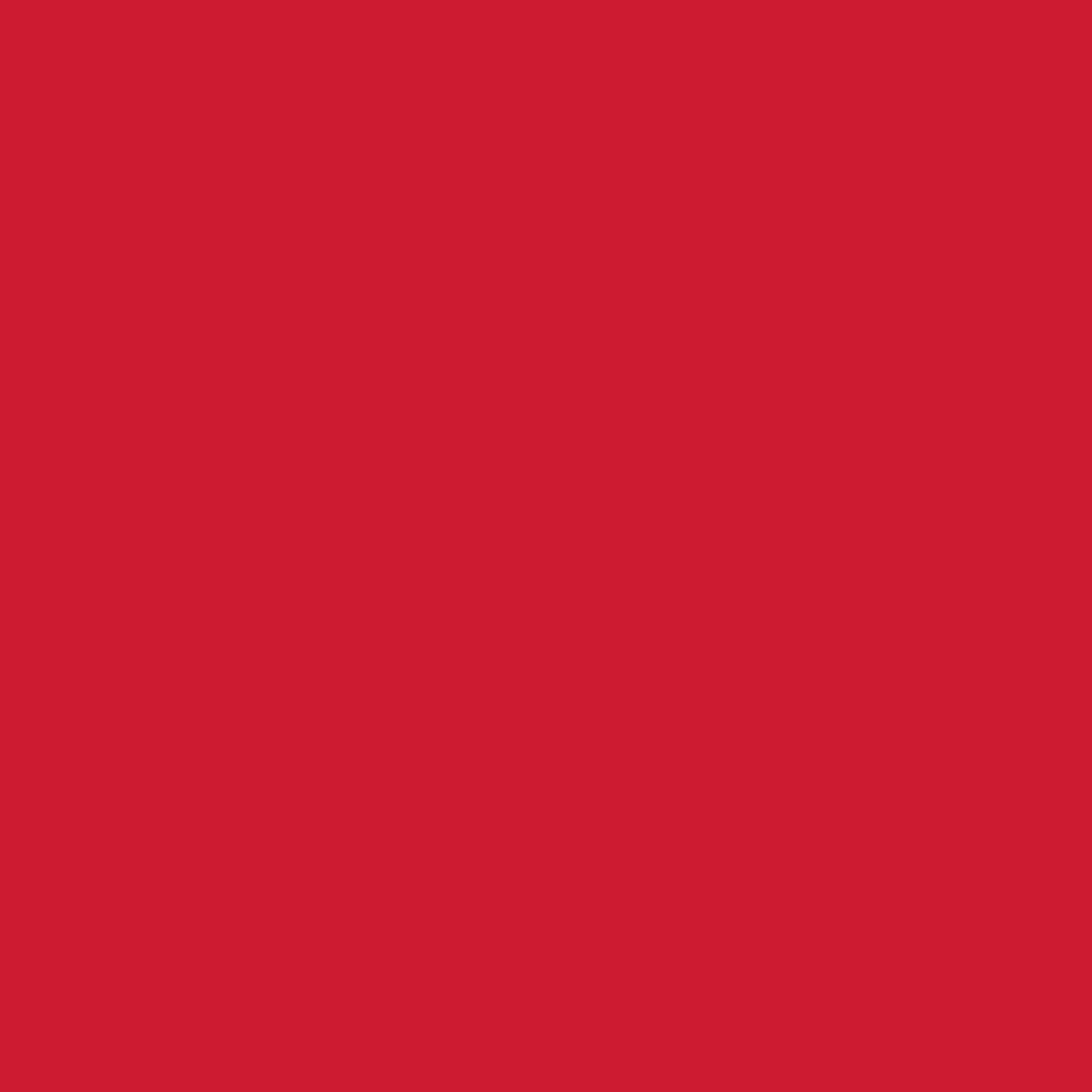 CARRE ROUGE TOMATE