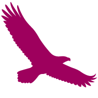 oiseaurose
